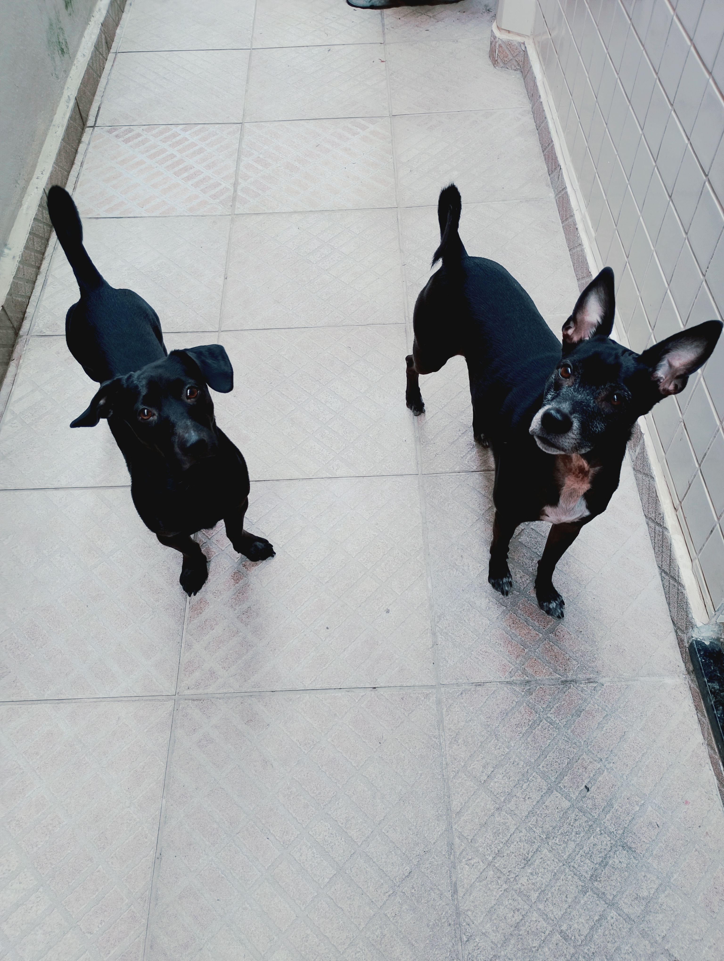 Foto 4 da galeria