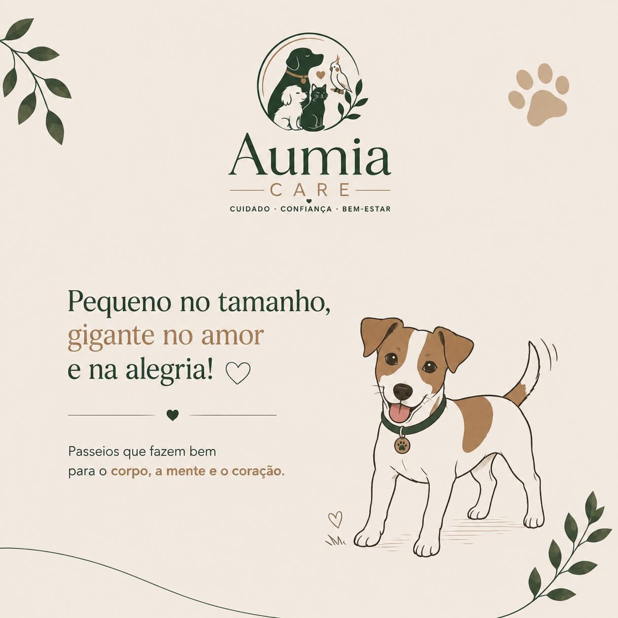 Foto 5 da galeria
