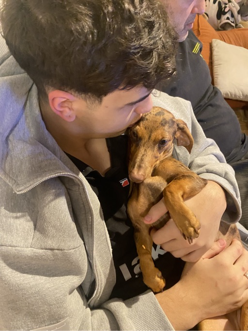 Foto 7 da galeria