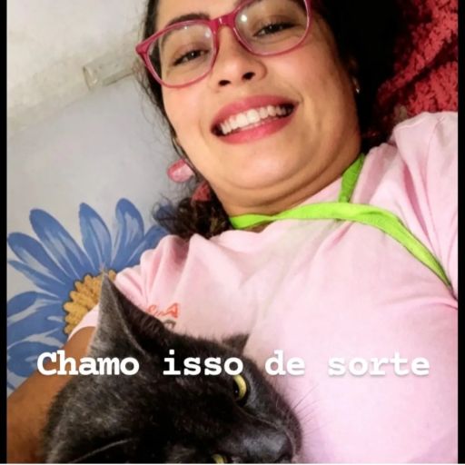 Foto 4 da galeria